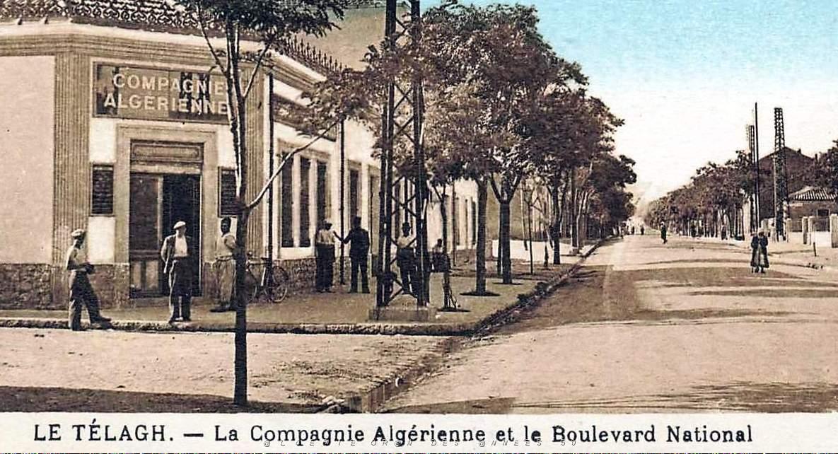 614- Le Telagh - Boulevard National2.jpg